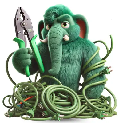 Installationsfant